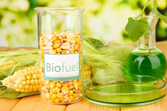 Efenechtyd biofuel availability