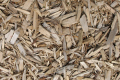 biomass boilers Efenechtyd