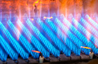 Efenechtyd gas fired boilers